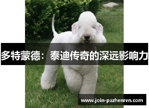多特蒙德:泰迪传奇的深远影响力 多特蒙德:泰迪传奇的深远影响力