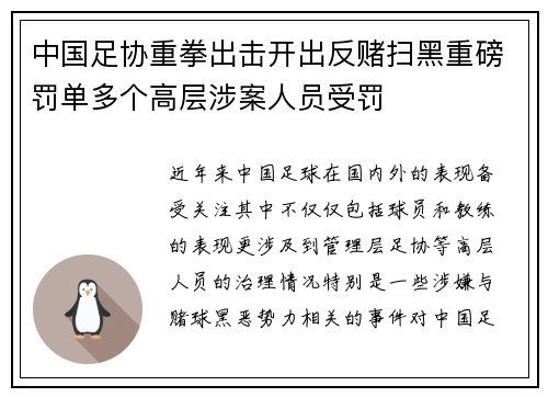 中国足协重拳出击开出反赌扫黑重磅罚单多个高层涉案人员受罚